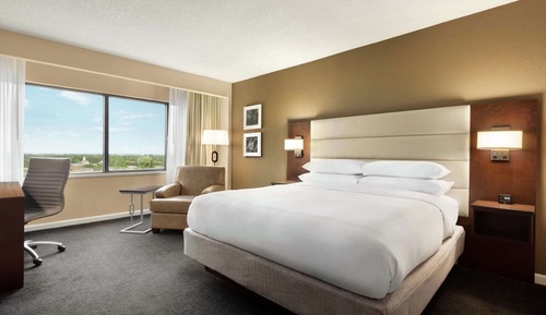 Room, 1 King Bed
