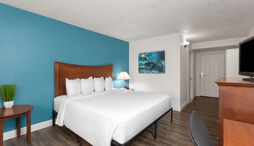 Deluxe Room, 1 King Bed, Mobility Accessible, Non Smoking (Roll-In Shower)