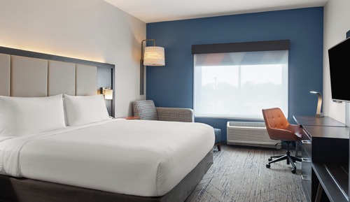 Room, 1 King Bed