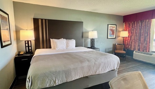 Room, 1 King Bed, Accessible, Non Smoking