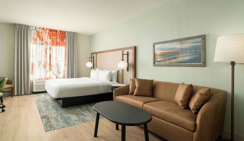 Studio, 1 King Bed (Mobility/Hearing Access, Roll-in Shwr)