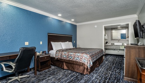 Room, 1 King Bed, Non Smoking