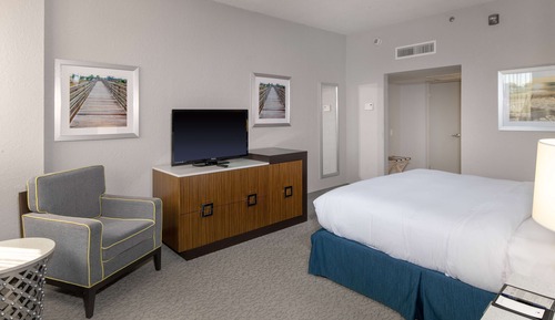 Room, 1 King Bed