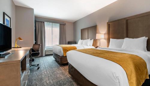 Standard Queen Room with Two Queen Beds - Non Smoking 