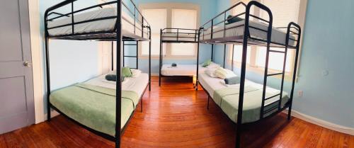 Bunk Bed in Mixed Dormitory Room