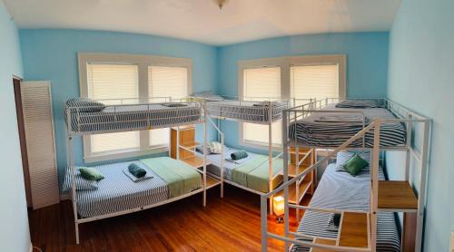 Bunk Bed in Mixed Dormitory Room