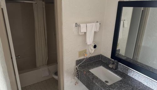 Deluxe King Non Smoking Room