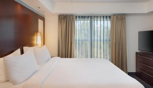 One-Bedroom King Suite with Sofa Bed