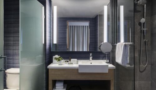 Superior King Room with City and Park View
