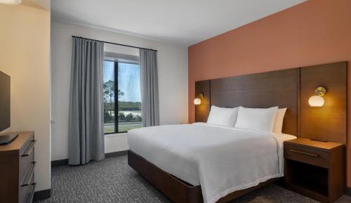 One-Bedroom King Suite with Sofa Bed 