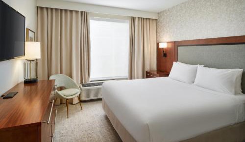 1 Bedroom Suite, 1 King, Sofa bed