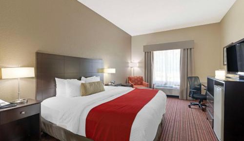 King Room with Roll-In Shower - Mobility Access