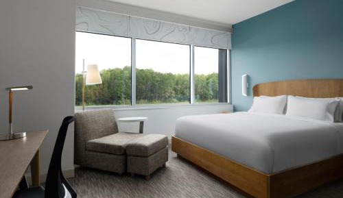 King Studio with Sofa Bed (No Resort Fee)