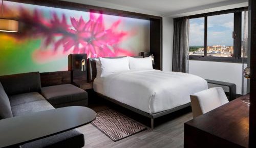 Design Guest Room, 1 King