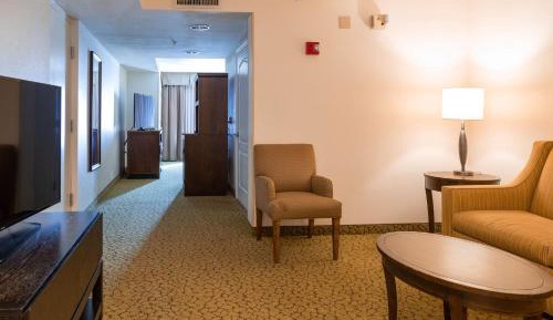 Junior King Suite with Sofa Bed