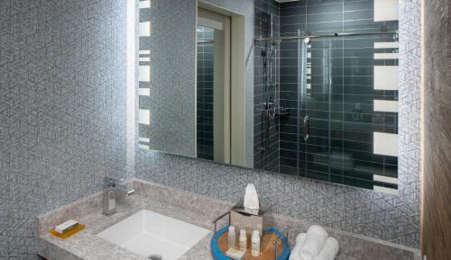 Suite - Mobility Access Roll in Shower/Non-Smoking