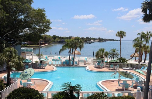 Pinellas Point House | Perfect St. Pete's Stay - Exclusive Cabanas, Coastal Dining & Attractions Nearby
